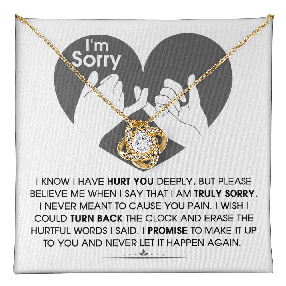 Sorry - The Hurtful Words I Said, I wish I could turn back the clock