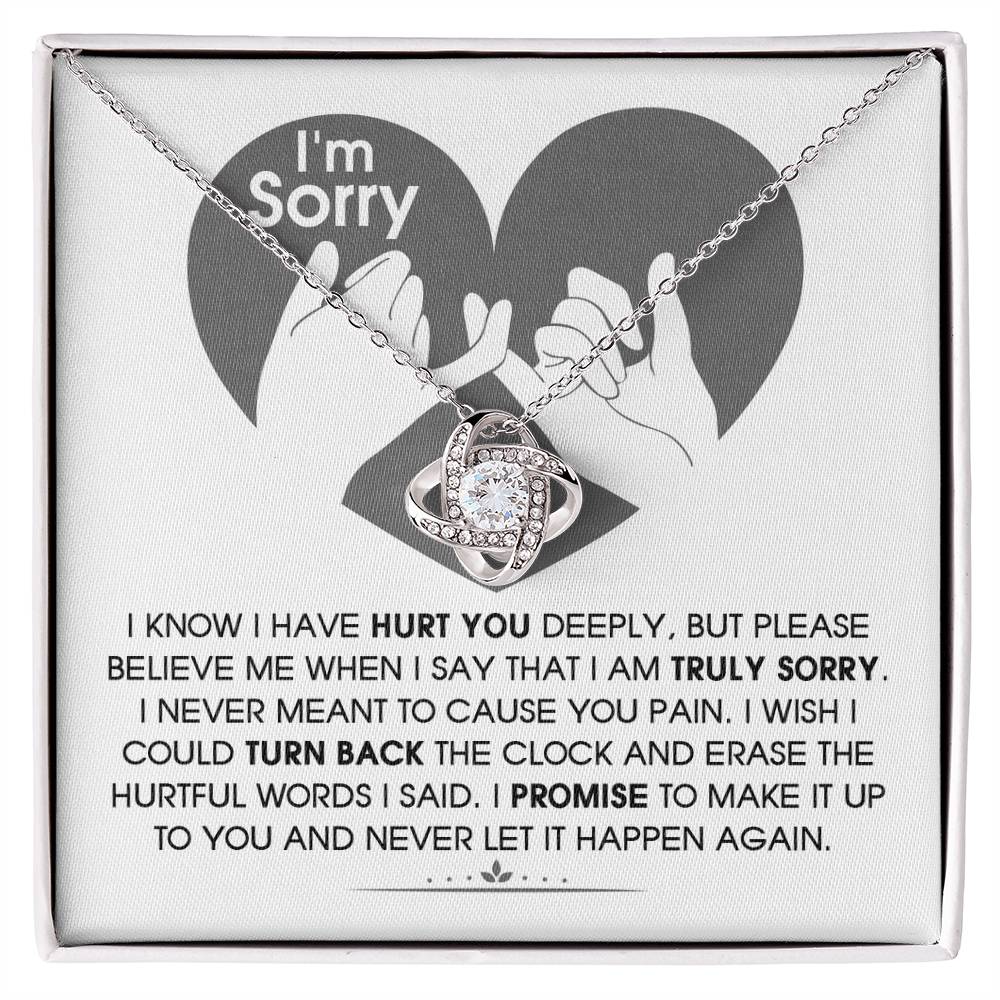 Sorry - The Hurtful Words I Said, I wish I could turn back the clock