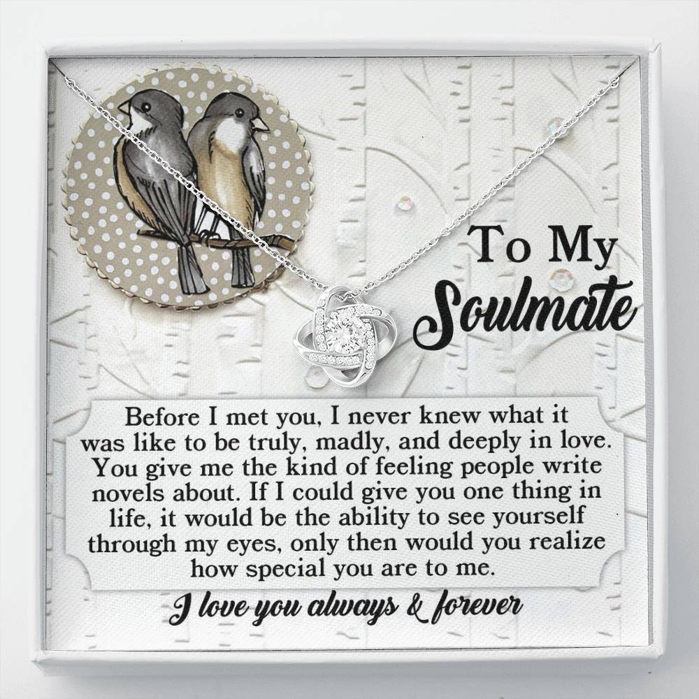 Soulmate - Write Novels