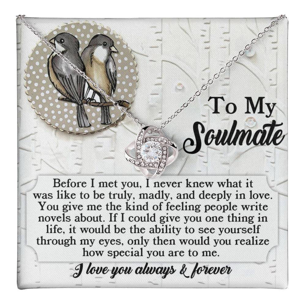 Soulmate - Write Novels