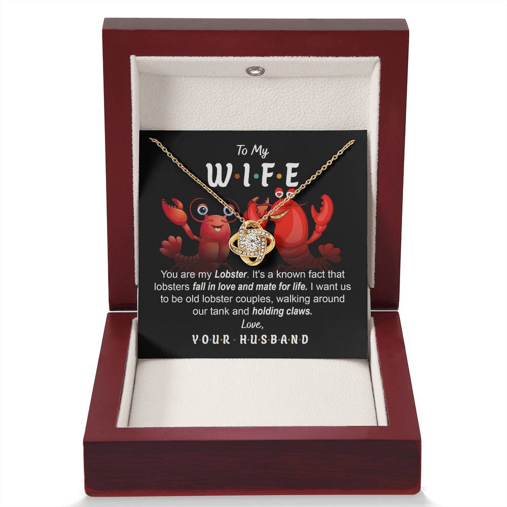 Wife-Old Lobster Couples