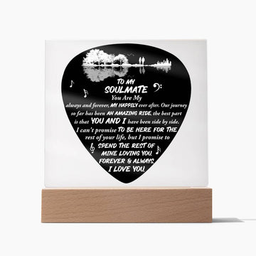 Acrylic Plaque Deco, Soulmate Gifts for Women Men, Anniversary Valentine Gift for Soulmate, Necklace For Wife From Husband, Birthday Gifts For Wife, Birthday Gifts For Soulmate, Wife Birthday Gift Ideas